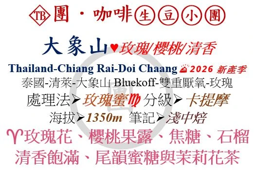[♥玫瑰/櫻桃/清香]TB-泰國-清萊-大象山-玫瑰蜜-卡提摩[團咖啡．生豆小團]*2026新產季