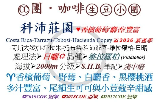 [♥香檳葡萄/麝香/豐富]CC-哥斯大黎加-塔拉朱-科沛莊園-維拉羅柏-日曬 [團咖啡．生豆小團]*2026新產季
