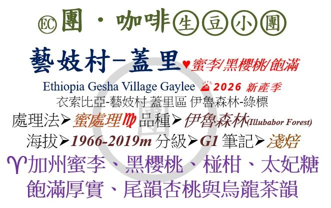 [♥蜜李/黑櫻桃/飽滿]EC-衣索比亞-藝妓村- 蓋里區-伊魯森林-綠標-蜜處理 [團咖啡．生豆小團]*2026新產季