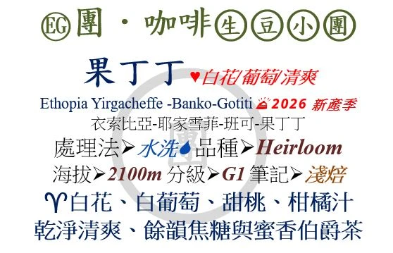[♥白花/葡萄/清爽]EG-衣索比亞-耶家雪菲-果丁丁-水洗 [團咖啡．生豆小團]*2026新產季