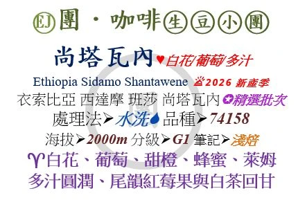 [♥白花/葡萄/多汁]EJ-衣索比亞-西達摩-尚塔瓦內-水洗-74158 [團咖啡．生豆小團]*2026新產季