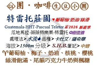 [♥葡萄柚/奶油/絲滑]GA-瓜地馬拉-薇薇特南果-特雷托-水洗-卡杜艾 / 薩奇摩[團咖啡．生豆小團]*2026新產季