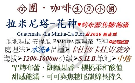 [♥烤布蕾/焦糖/飽滿]GG-瓜地瑪拉-安提瓜-花神-水洗*低瑕疵版[團咖啡．生豆小團]*2026新產季