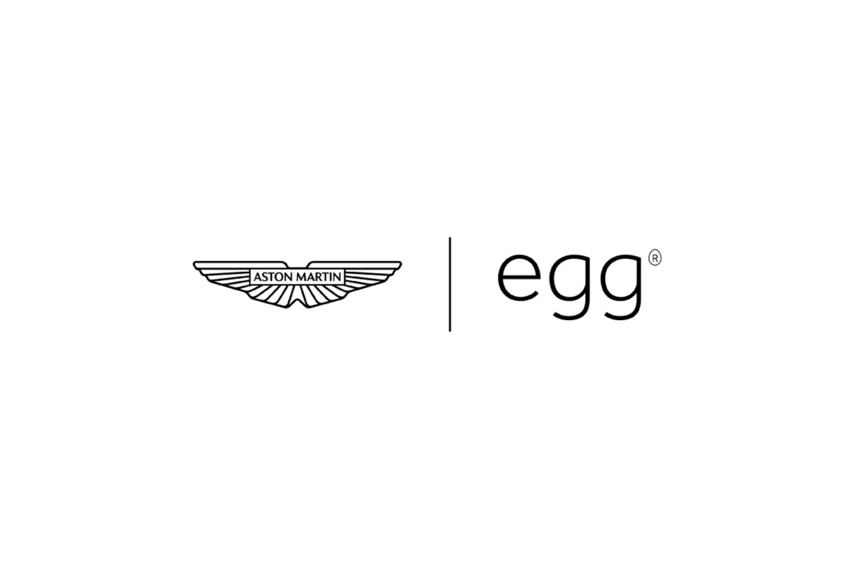 Aston Martin egg3