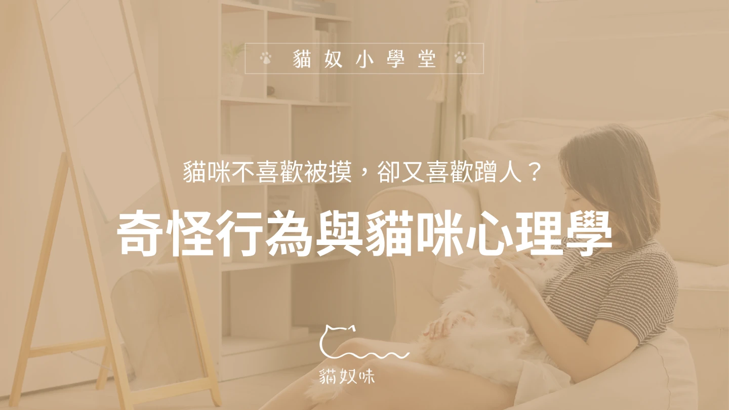 為什麼我家的貓咪不喜歡被摸，卻又喜歡蹭東西？
