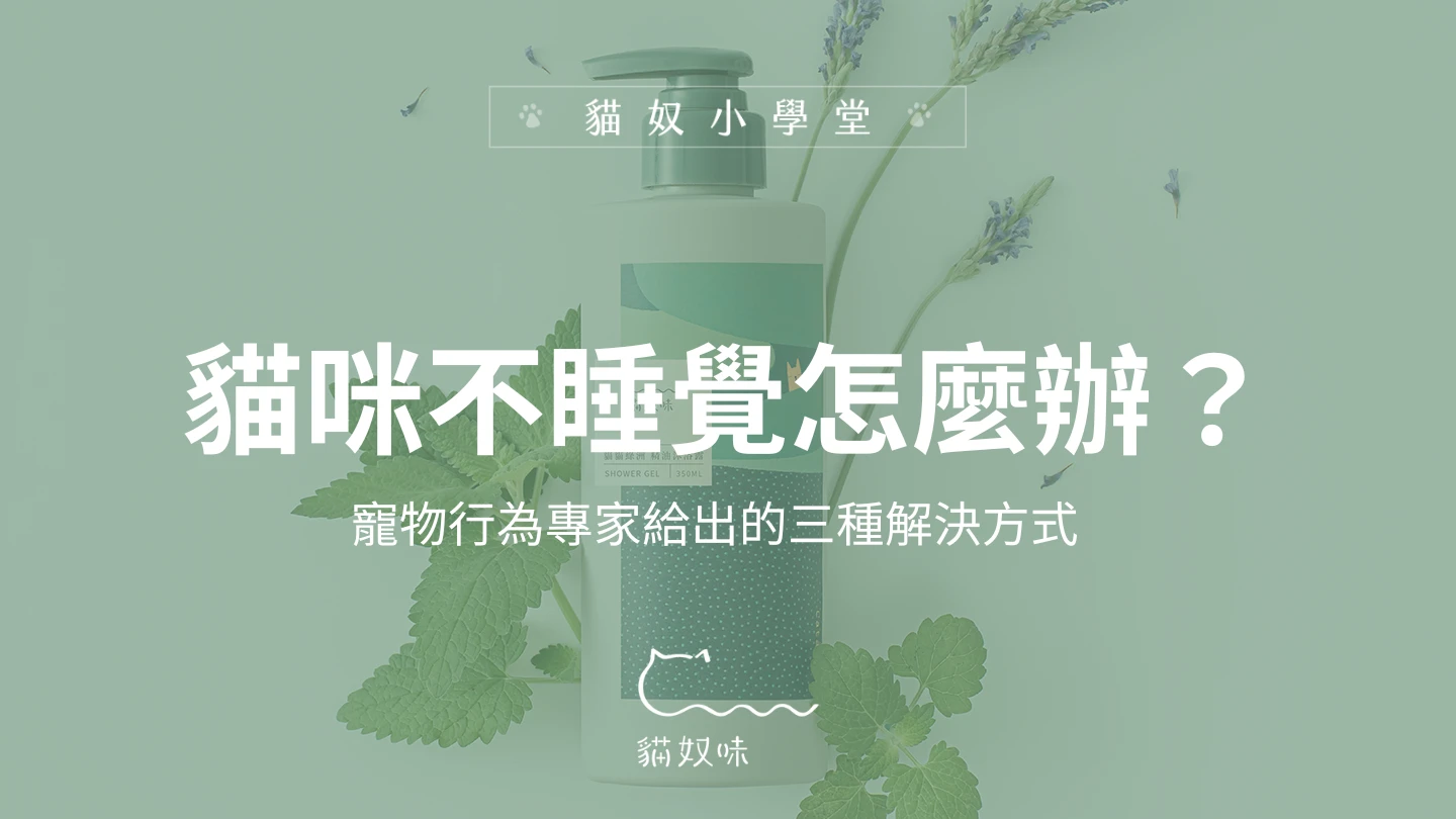 貓咪不睡覺怎麼辦？寵物行為專家給出的三種解決方式| 貓奴安心，貓咪舒服的香氛生活