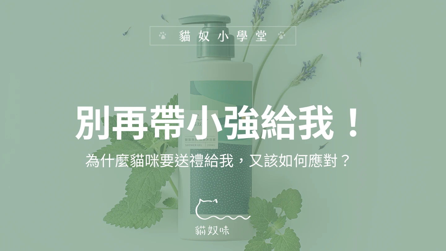 「救命啊，別再帶小強給我！」為什麼貓咪要送禮給我，又該如何應對？