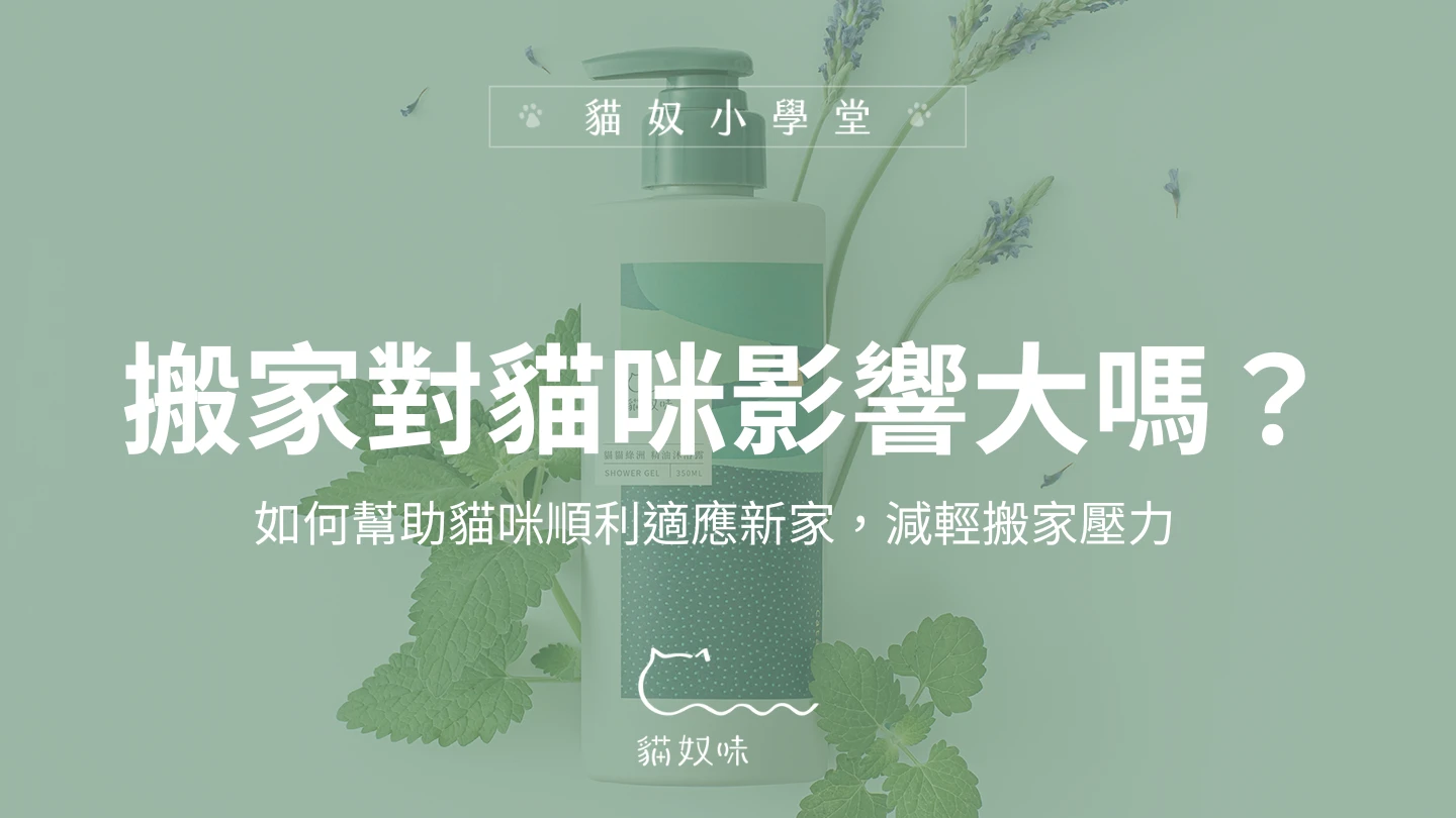 搬家對貓咪的影響大嗎？專家提供 5 個適應建議