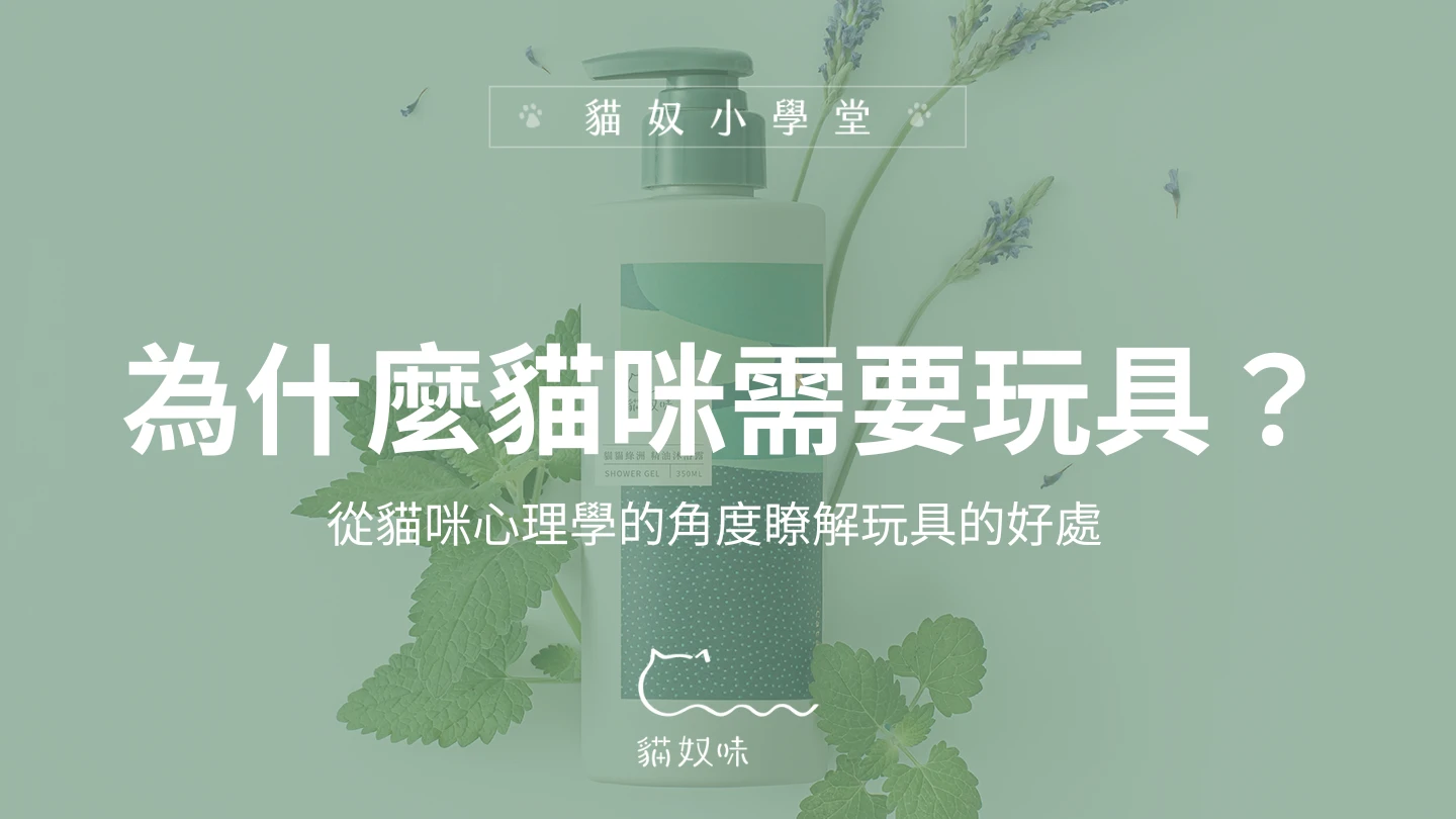 給貓咪玩具有哪些好處？讓寵物心理學來解答