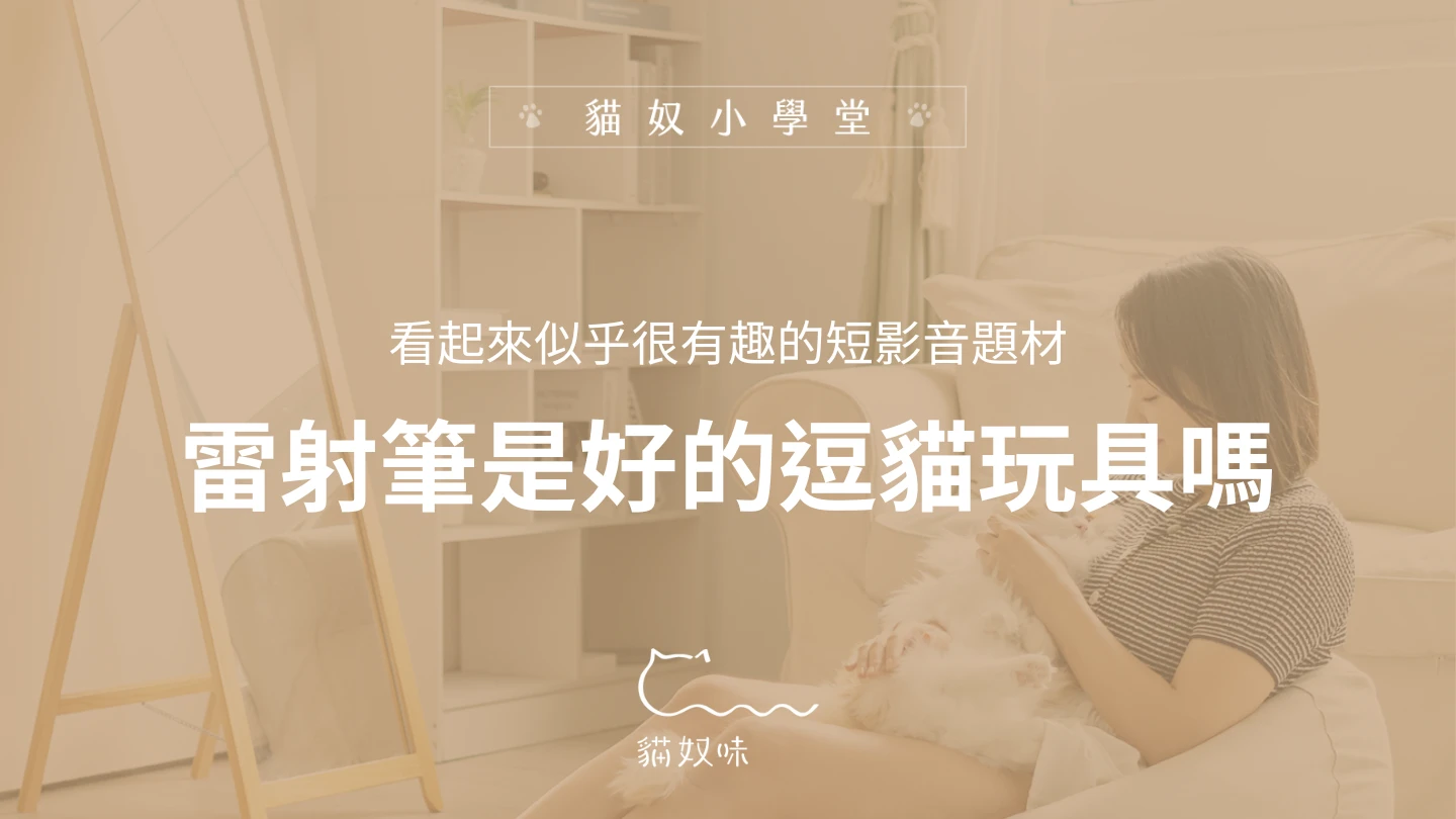 用雷射筆逗貓適合嗎？瞭解貓貓的心理需求