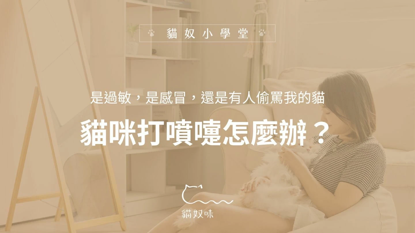 是過敏，是感冒，還是有人偷罵我的貓？貓咪打噴嚏怎麼辦？