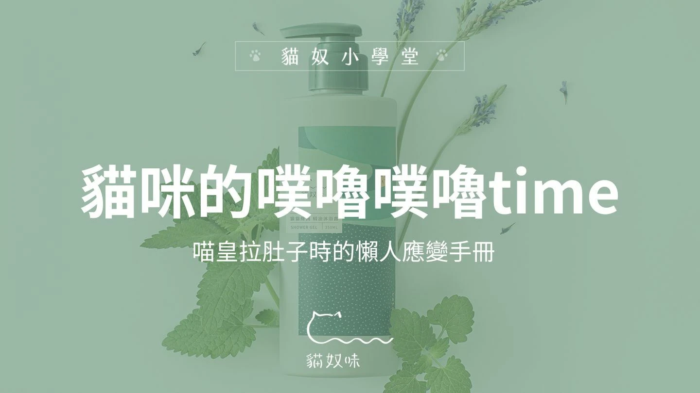 噗嚕噗嚕，我家貓咪拉肚子怎麼辦？給貓奴的「抗拉」SOP