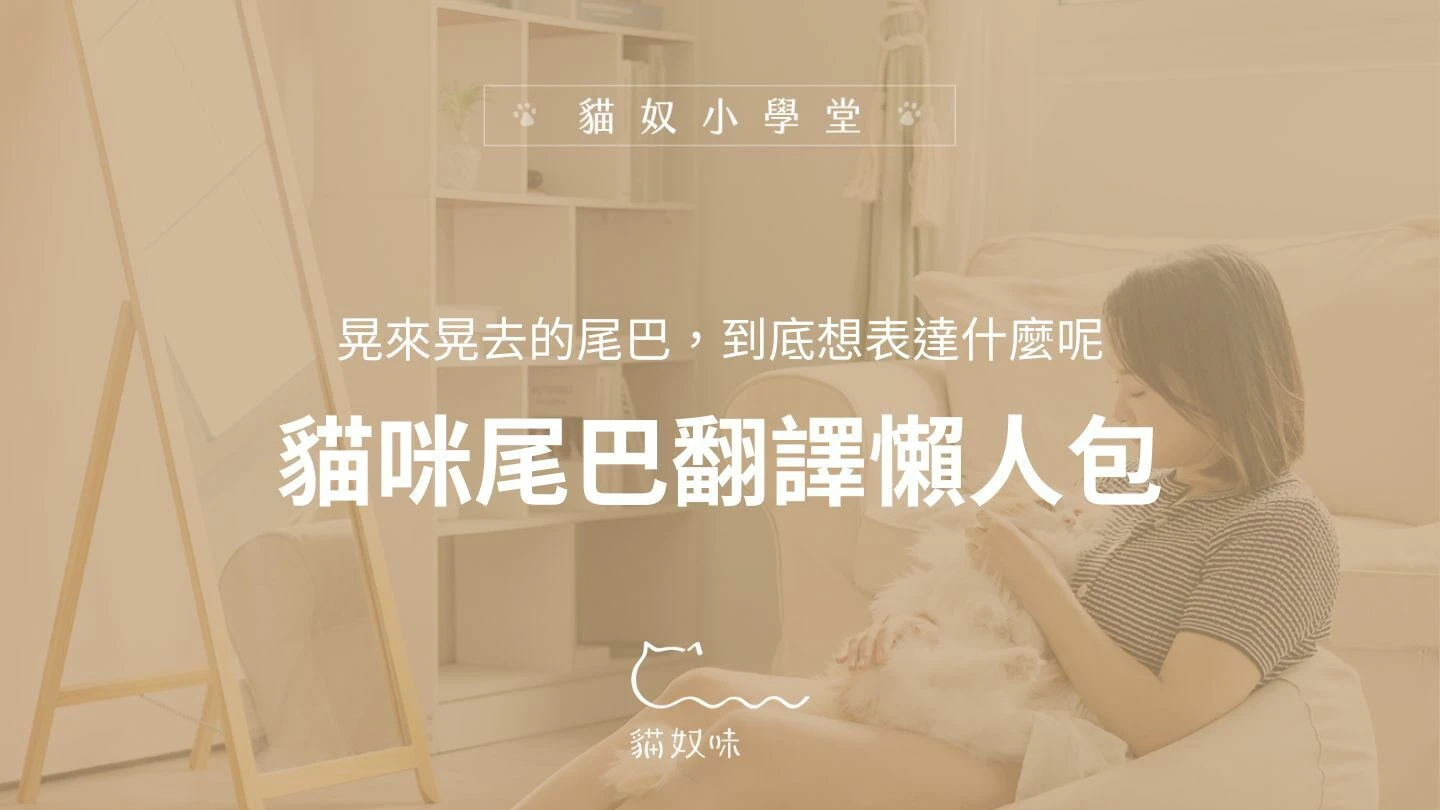 貓尾巴會講話？吃下翻譯蒟蒻，看懂貓咪的尾巴表情