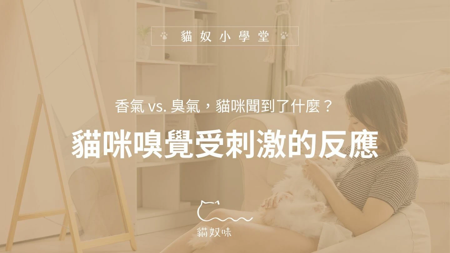 到底是香氣還是臭氣？了解貓咪嗅覺受刺激的反應