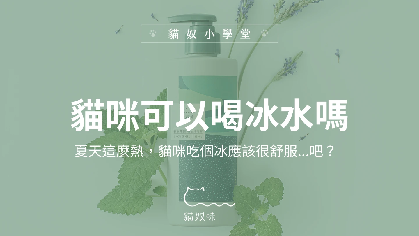 貓咪可以喝冰水嗎？夏天這麼熱，貓咪吃個冰應該很舒服...吧？