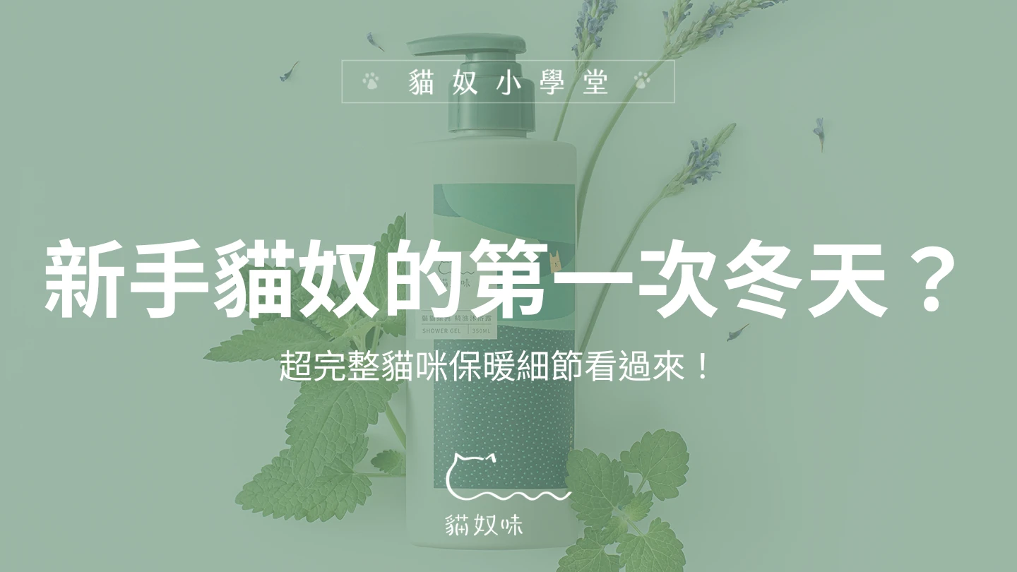 新手貓奴的第一次冬天？超完整貓咪保暖細節看過來！