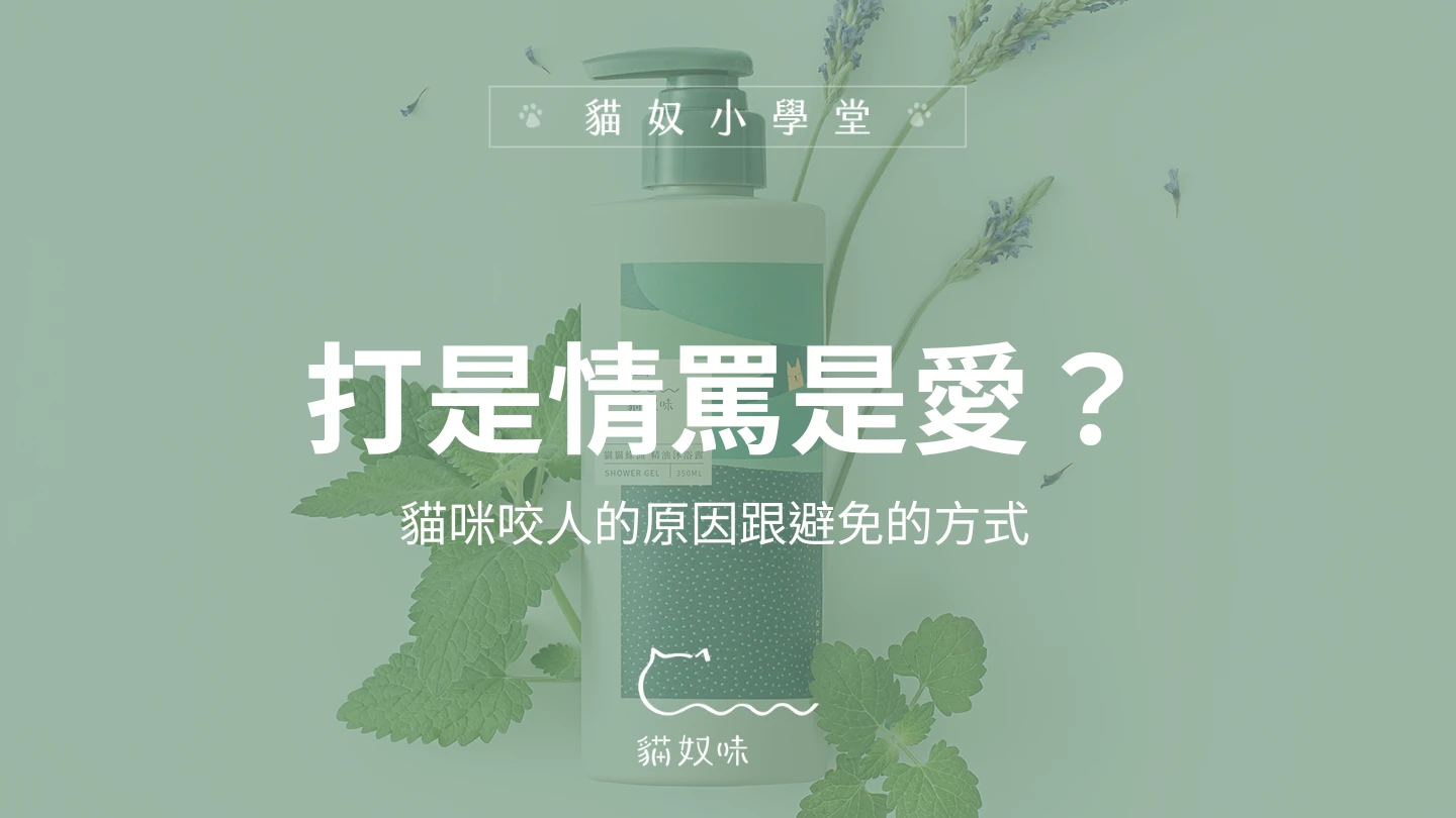 打是情罵是愛？貓咪咬人的原因跟避免的方式
