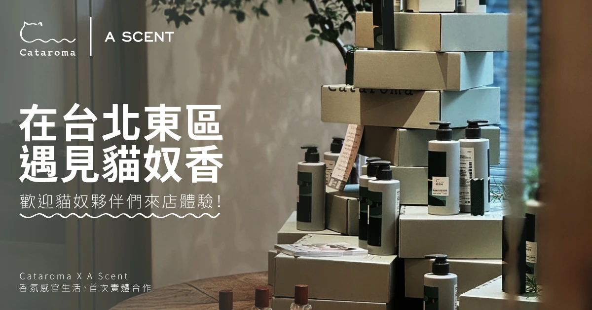 貓奴味 x A SCENT 台北東區沈浸式體驗