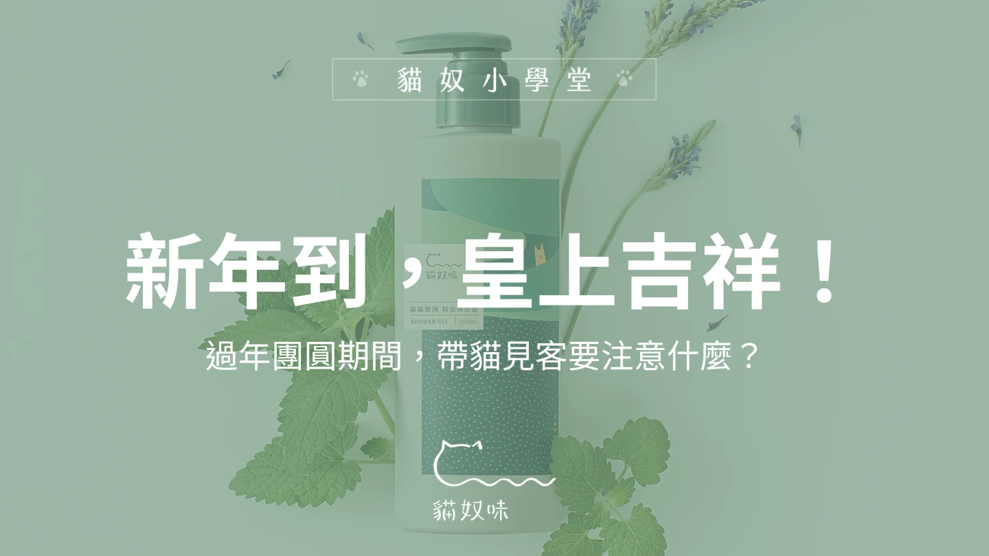 新年到，皇上吉祥！新年期間要注意的貓咪 NG 食物跟花草
