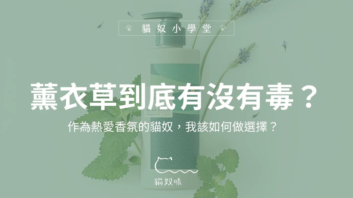 養貓可以用薰衣草嗎？身為熱愛香氛的貓奴，我該如何選擇？