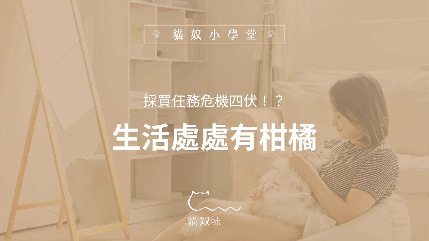 柑橘製品無所不在！守護貓貓，日常採買不踩雷