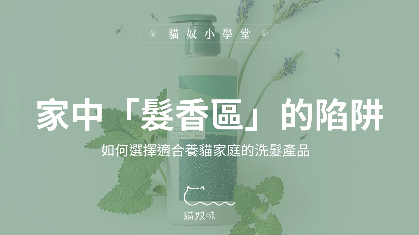 避開「髮香區」陷阱！洗髮精對貓咪的影響