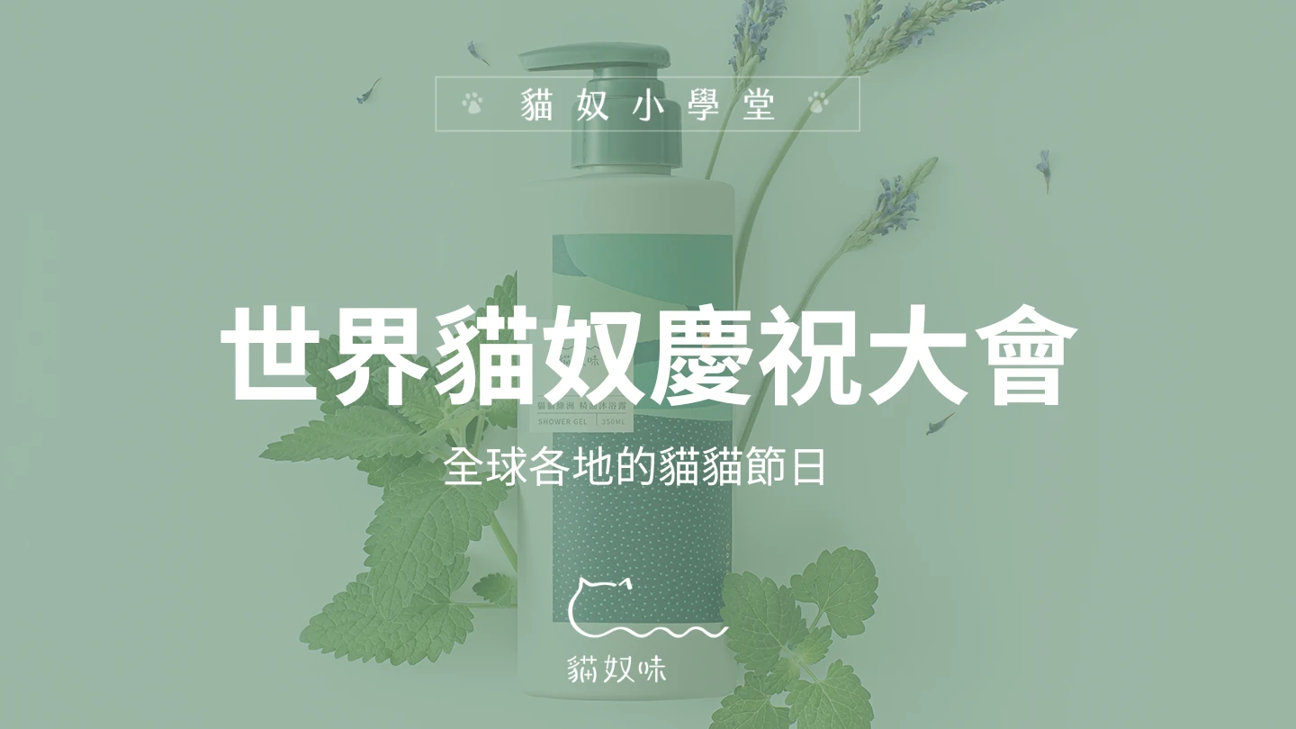 愛貓不只 222，各國貓奴都有專屬貓咪日！