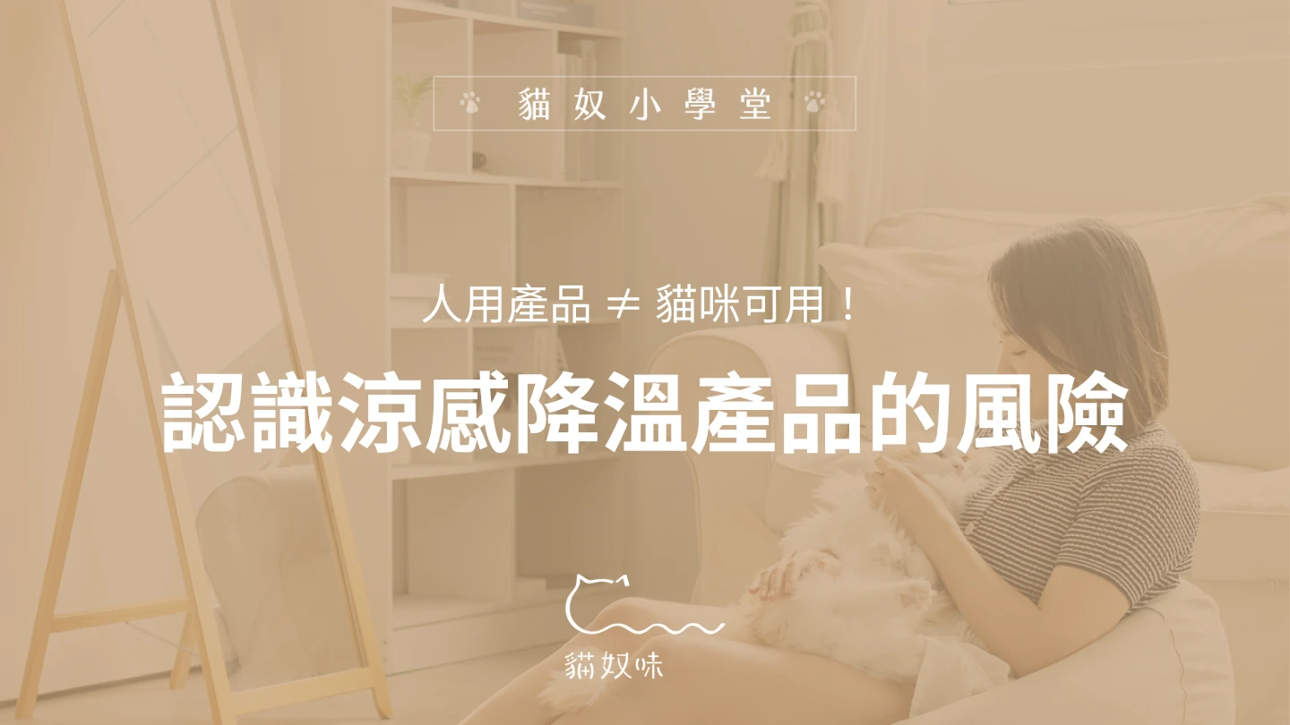 貓咪 NG！涼感產品對貓咪的健康風險