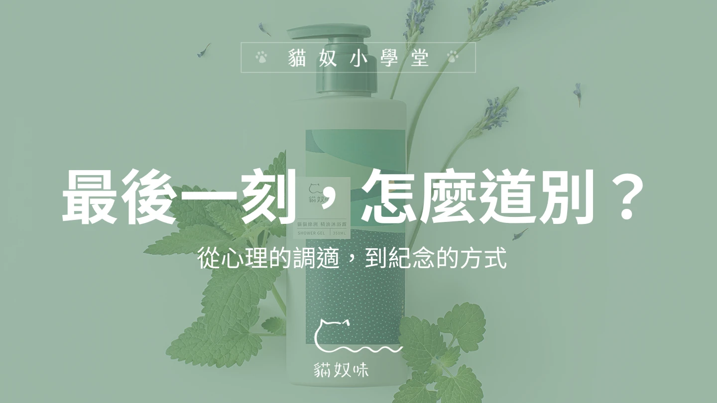 【清明節專文】毛孩離開時，怎麼說再見？從心理的調適，到紀念的方式