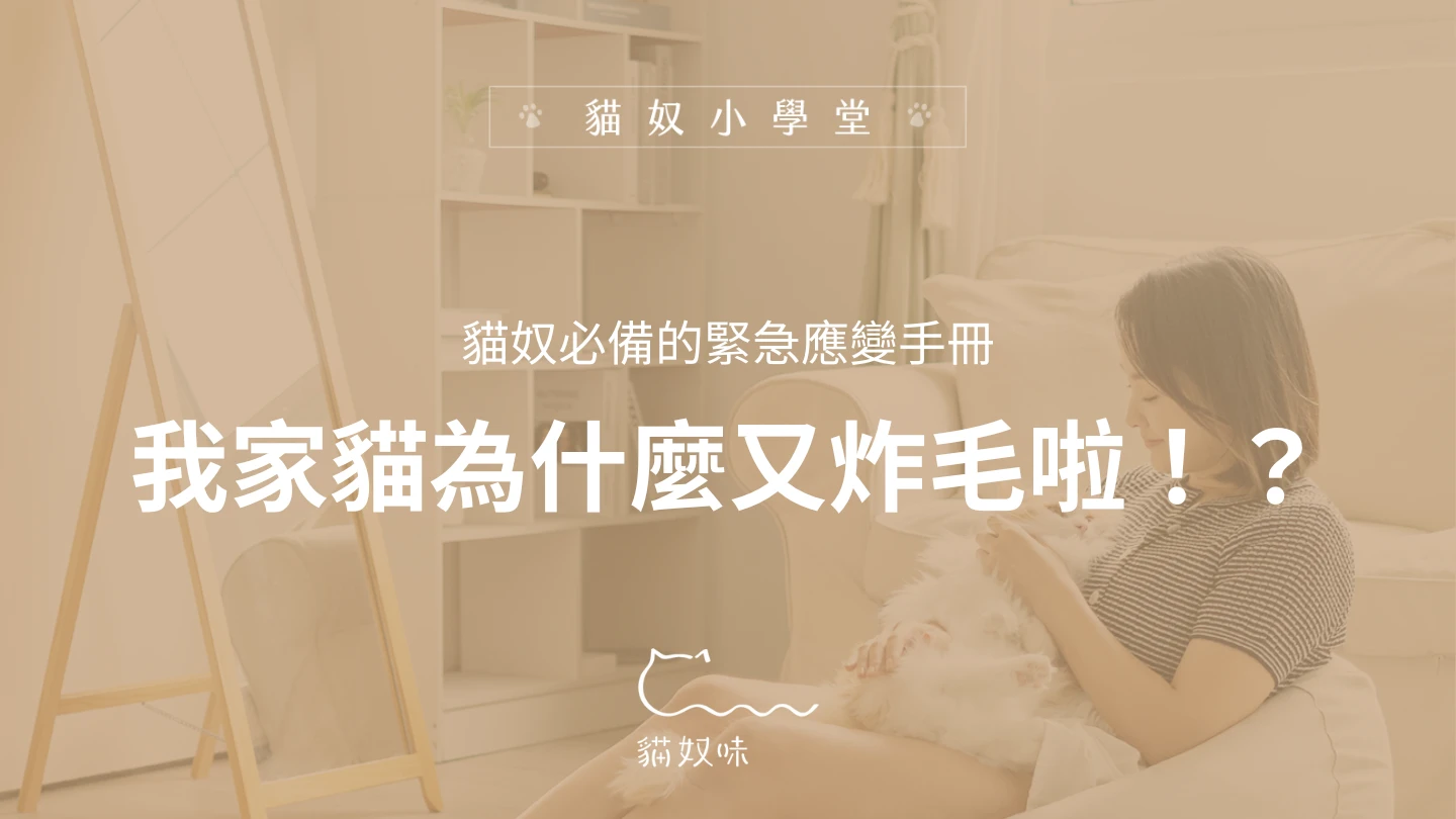 伴喵如伴虎？貓奴必備的炸毛應變手冊