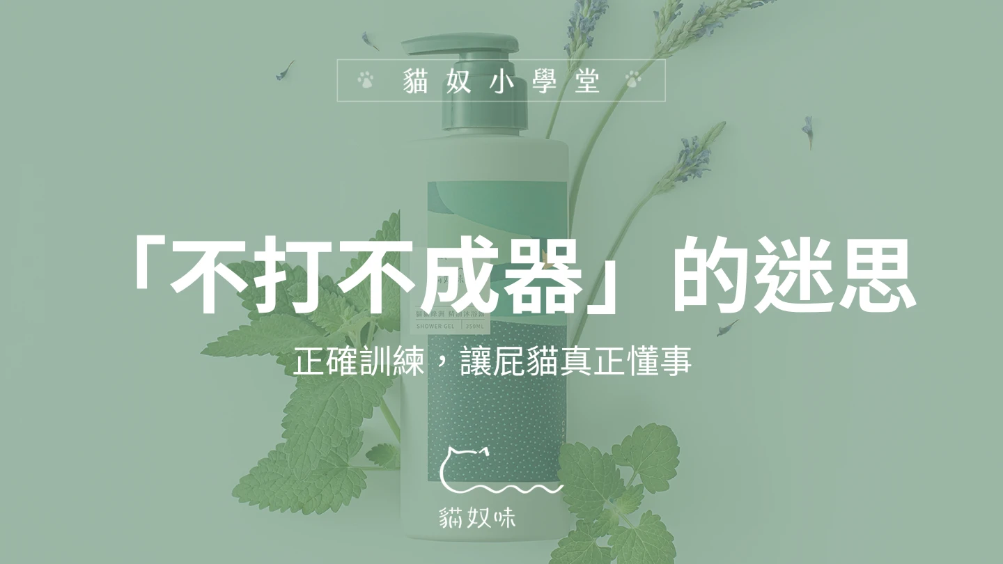 不打不成器？正確的訓練方式，才能讓屁貓真正懂事