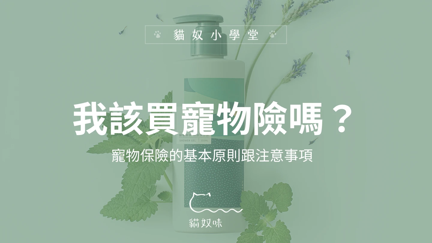 【客座邀稿】貓咪需要保險嗎？帶你了解寵物險的眉眉角角