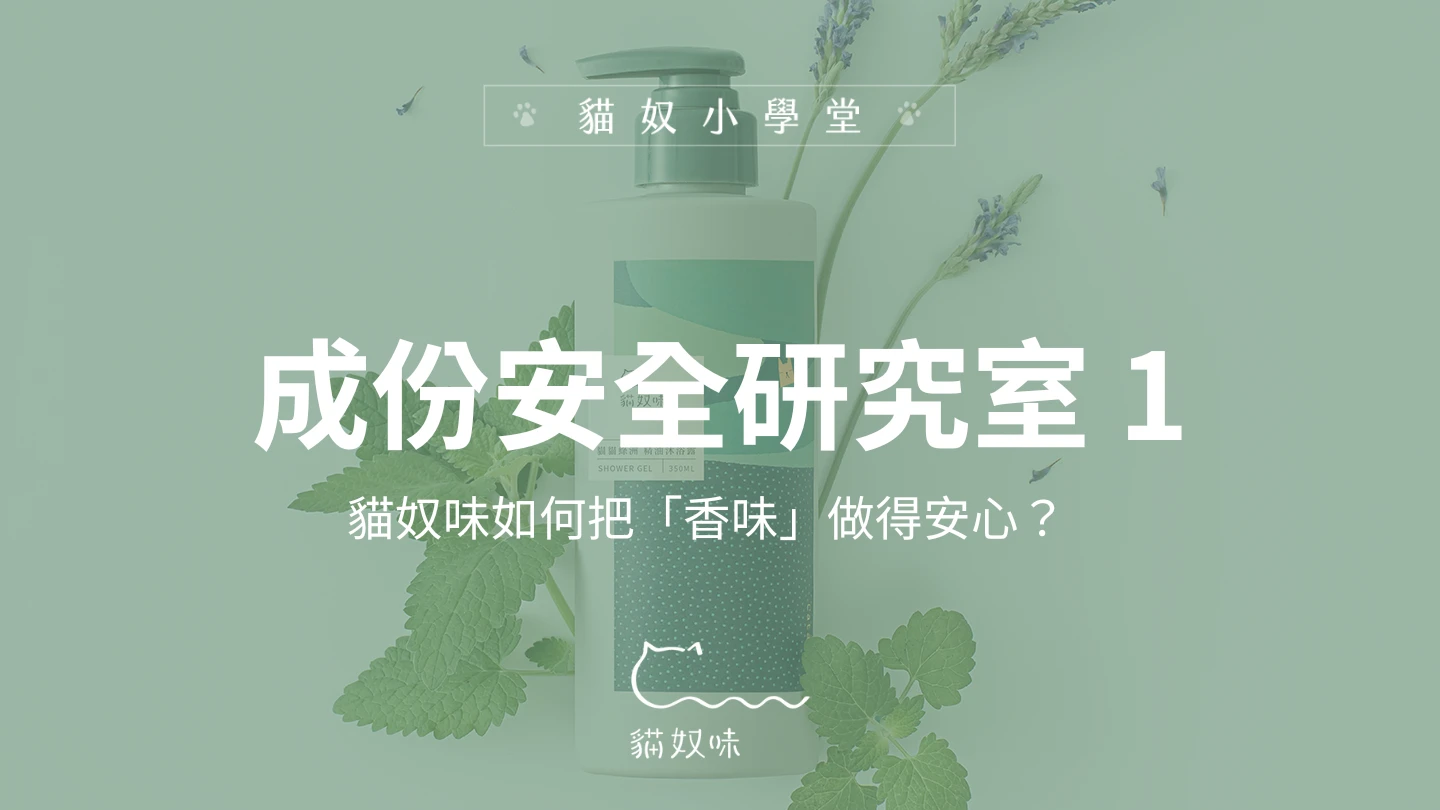 你的貓咪也住在這裡！貓奴味如何把「香味」做得安心