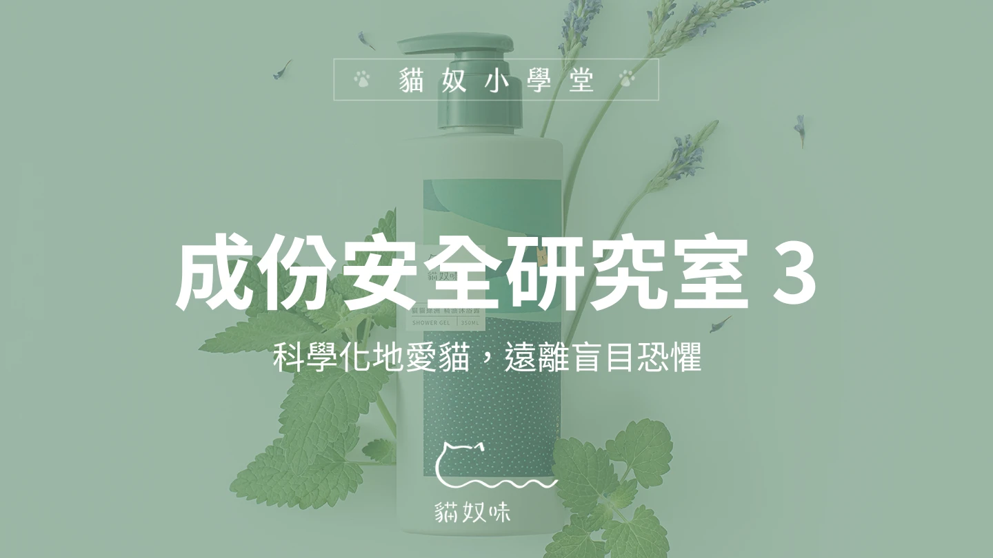 與貓共同生活，你需要精心設計的安全香氛配方