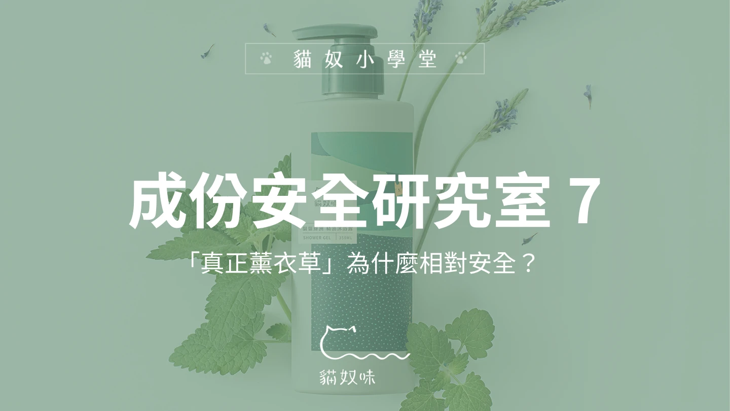 「真正薰衣草」為什麼相對安全？