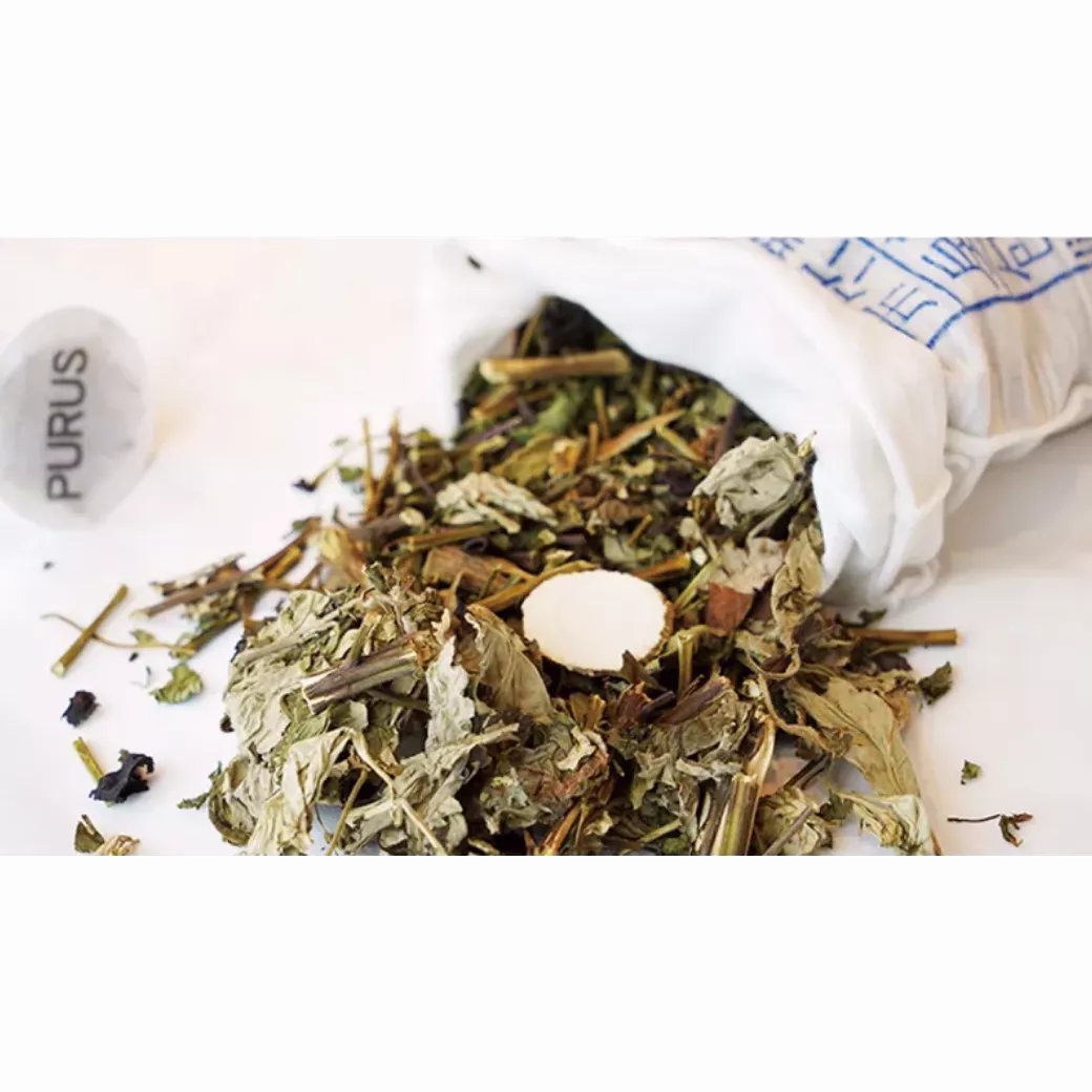 【智慧空氣】天然草本驅蚊濾塞