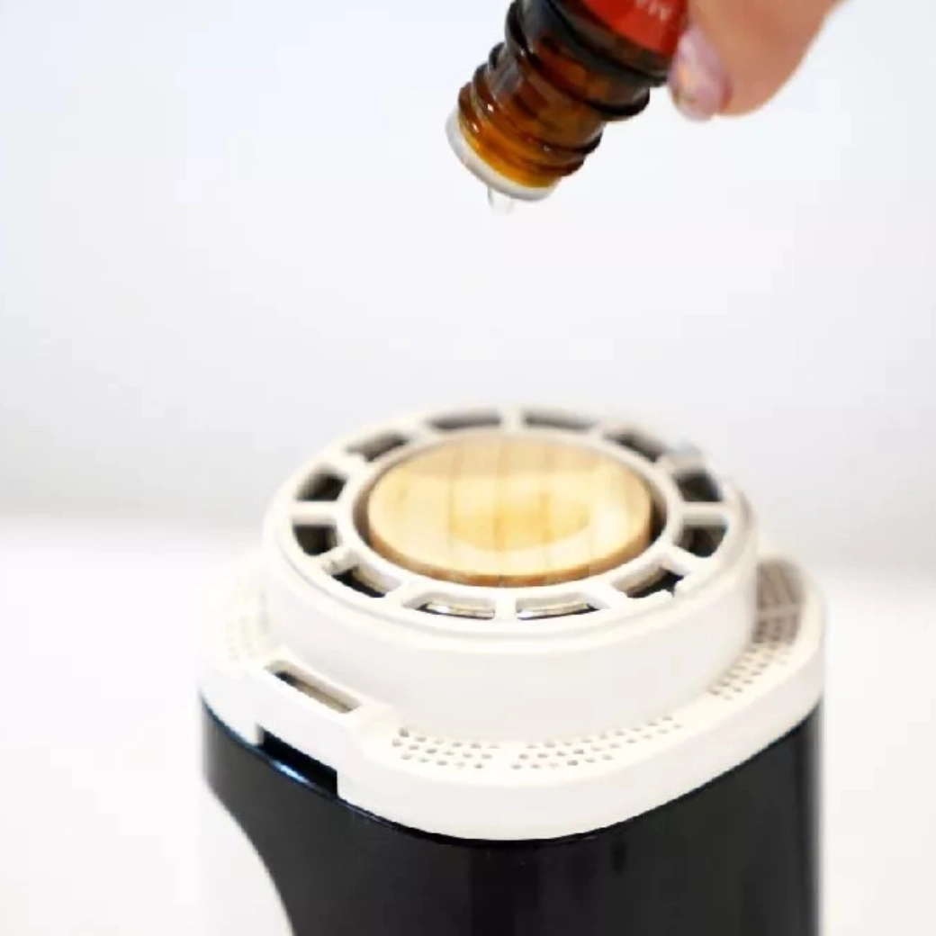 天然北美白蠟木精油擴香木