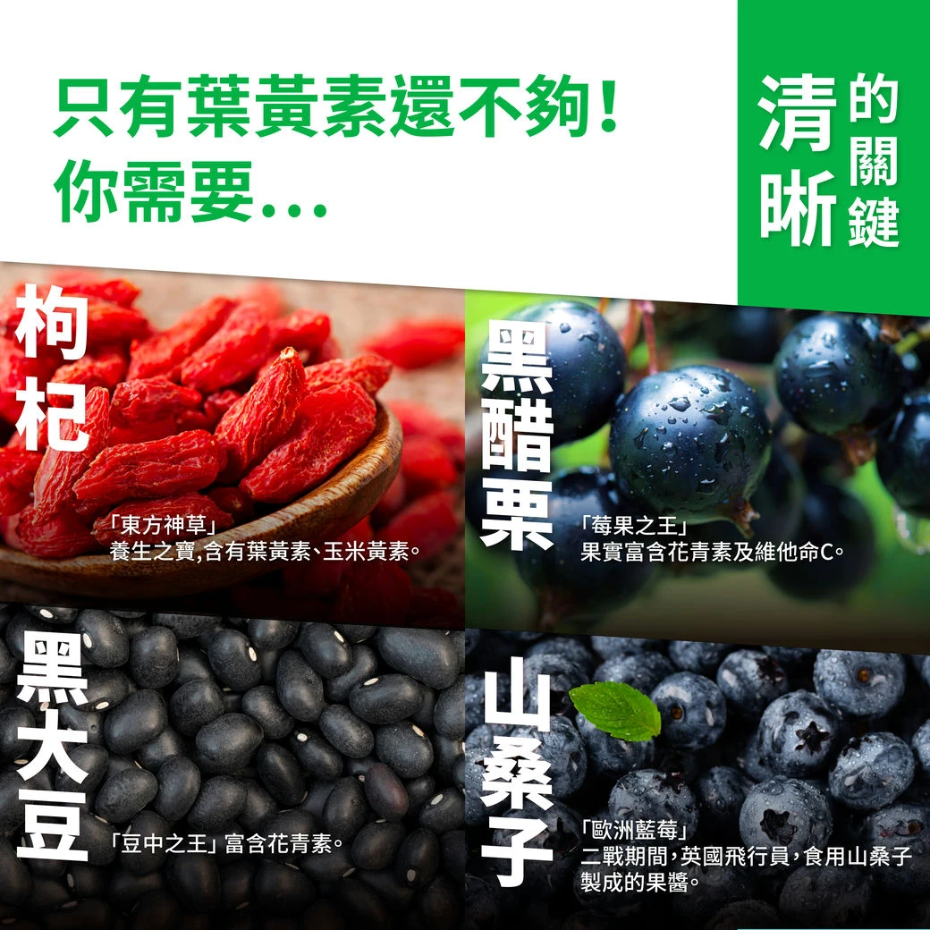 枸杞,黑醋栗,黑大豆,山桑子,藍莓