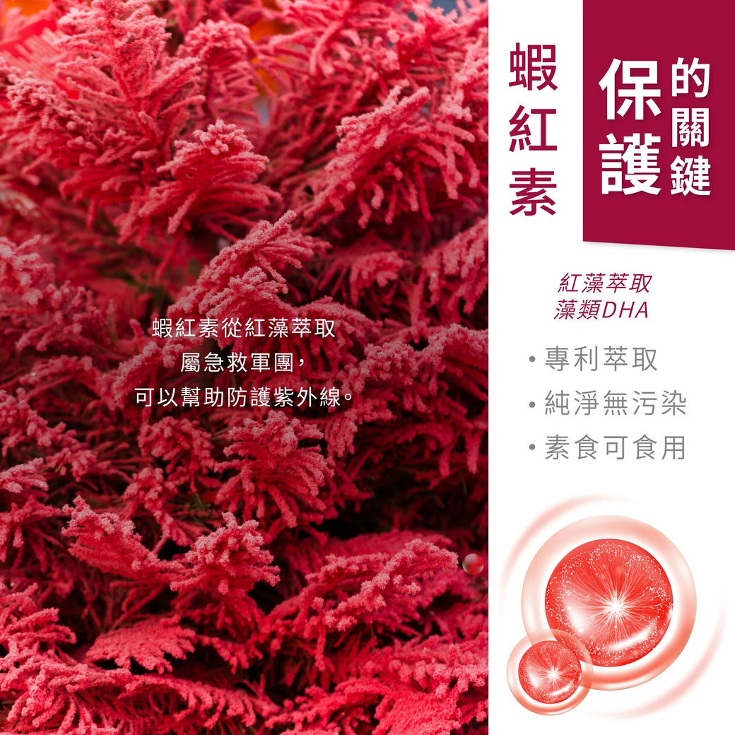 蝦紅素,紅藻萃取,素食可食用，純淨無污染，保護的關鍵