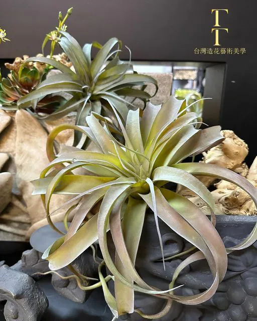 「花材分享」1120326