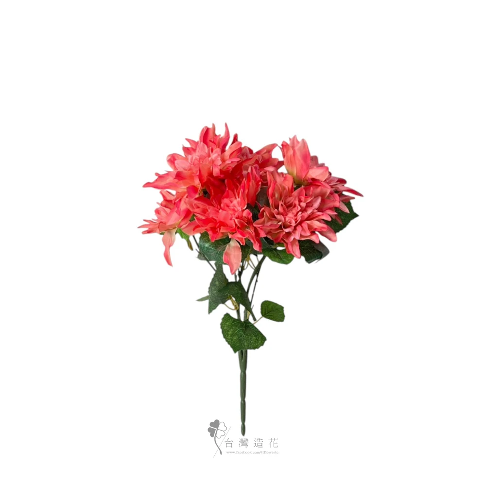 七頭大理花束(粉/橘)