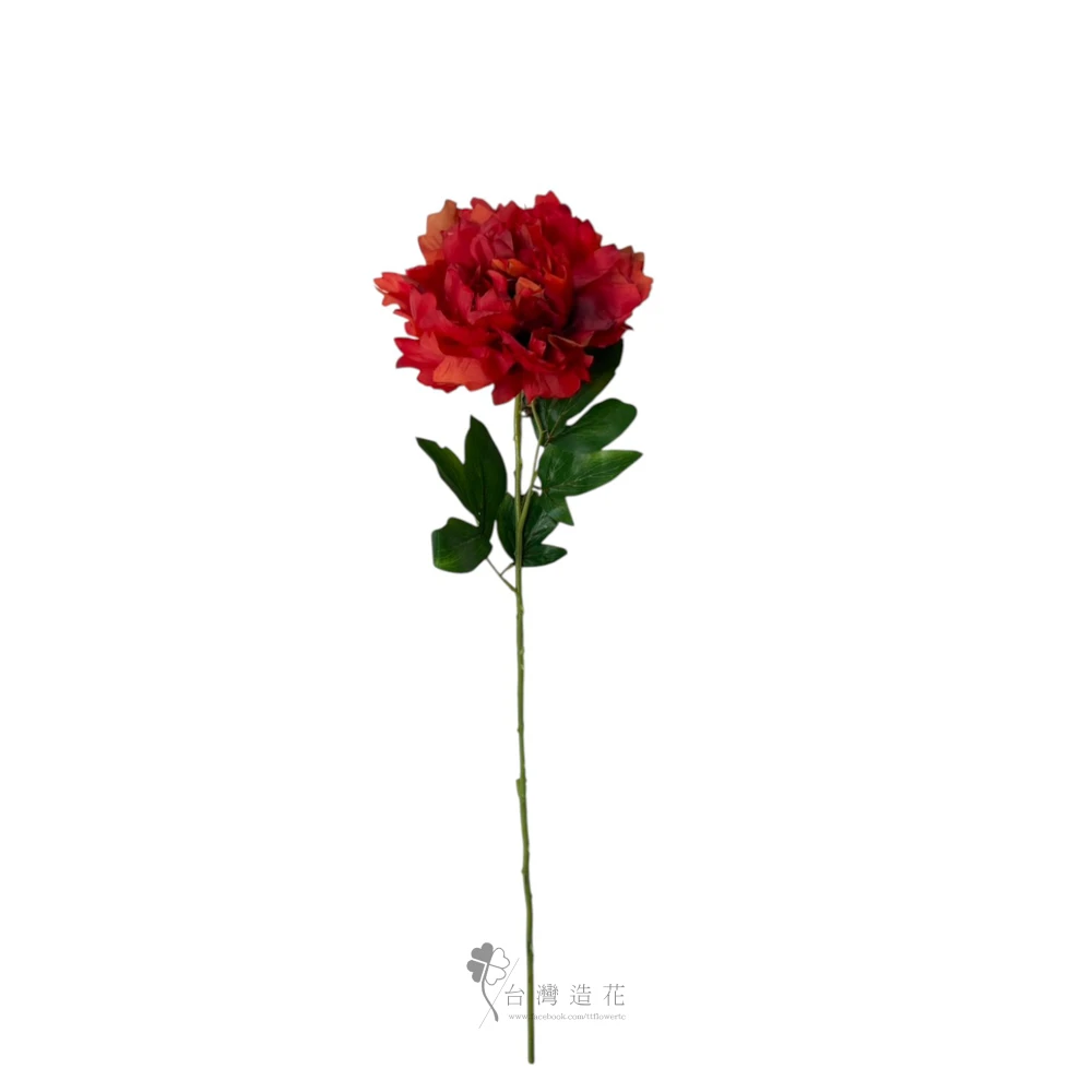 單支牡丹(紅)