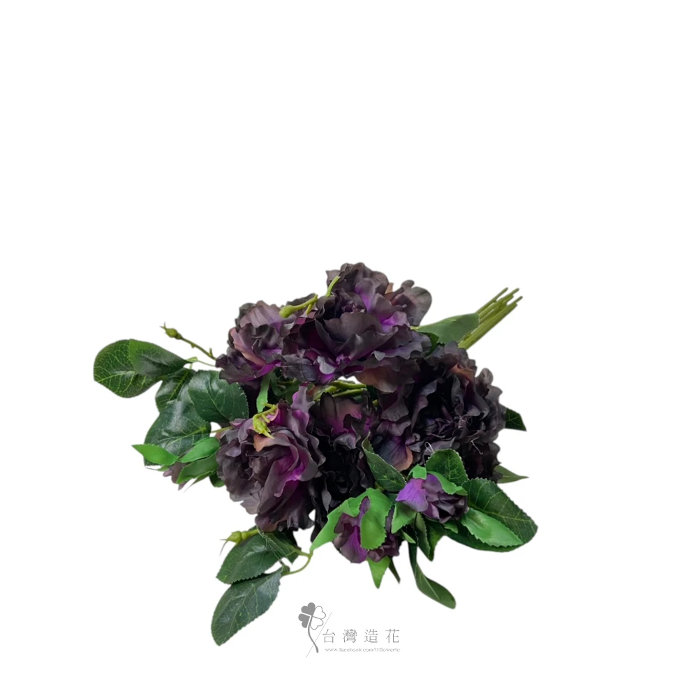 7頭牡丹棵(紫)