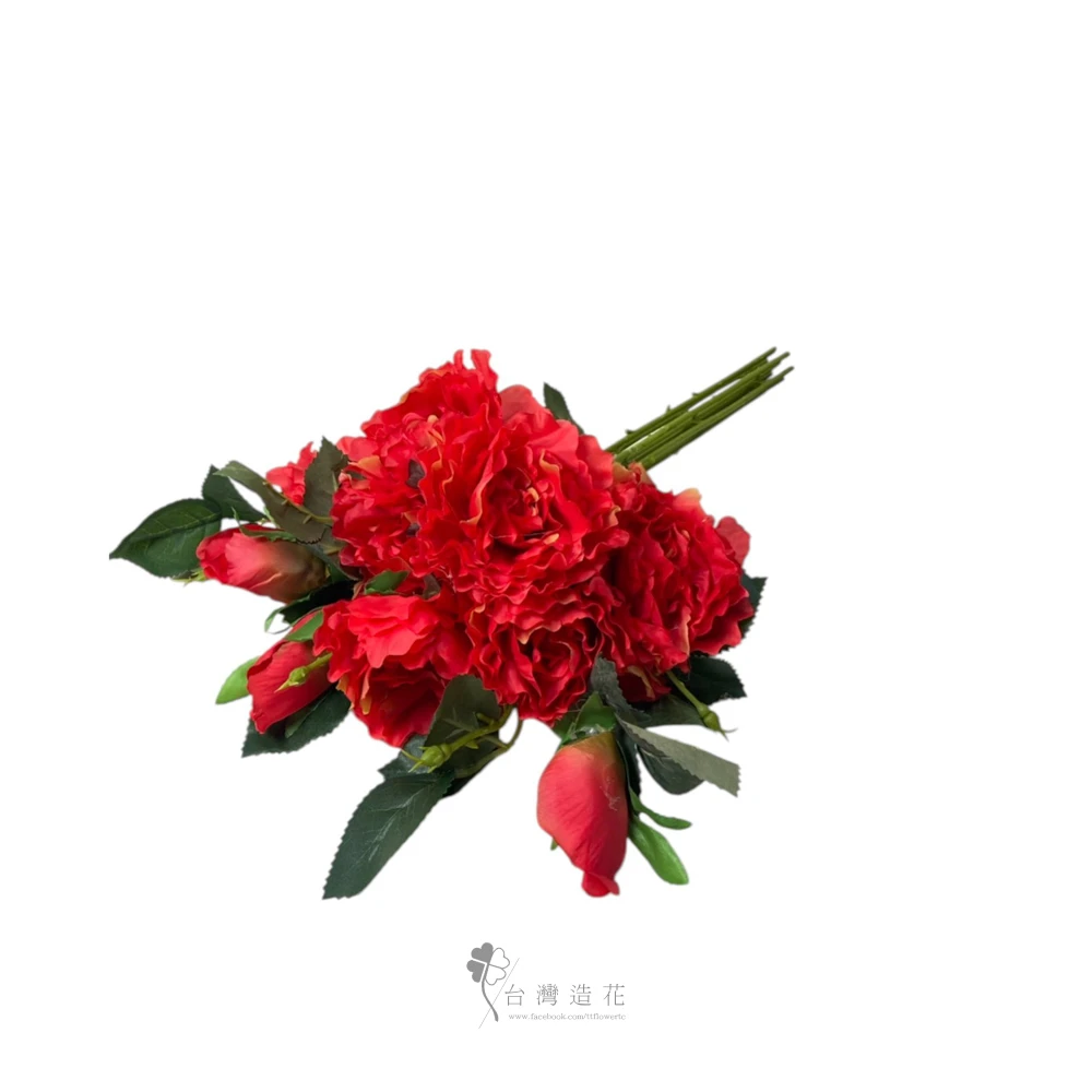 7頭牡丹棵(紅)