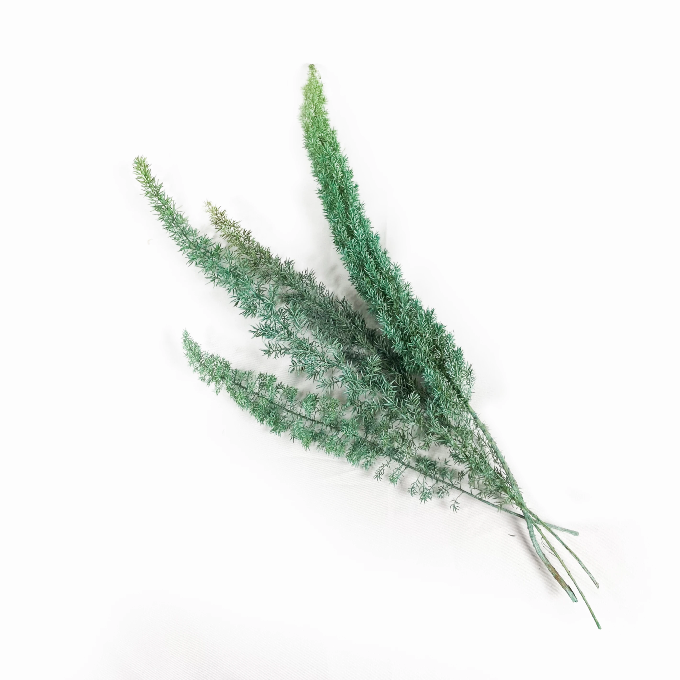 武竹6(綠)
