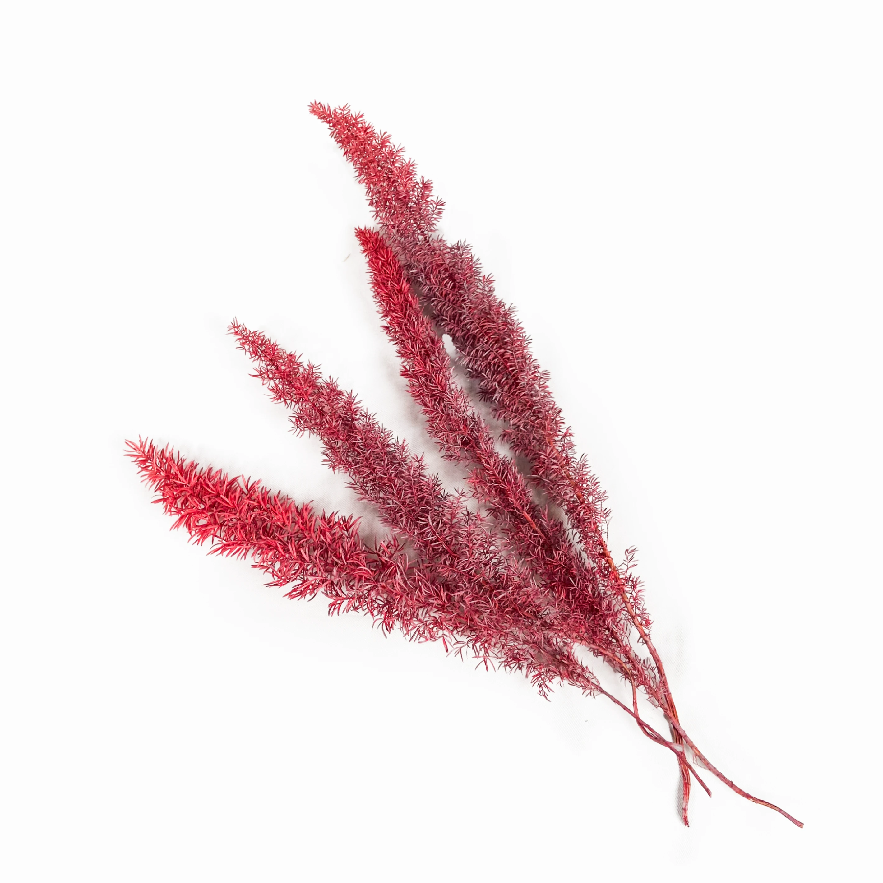 武竹7(紅)