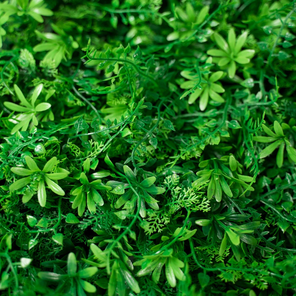 40*60百花蘭葉草皮(綠)