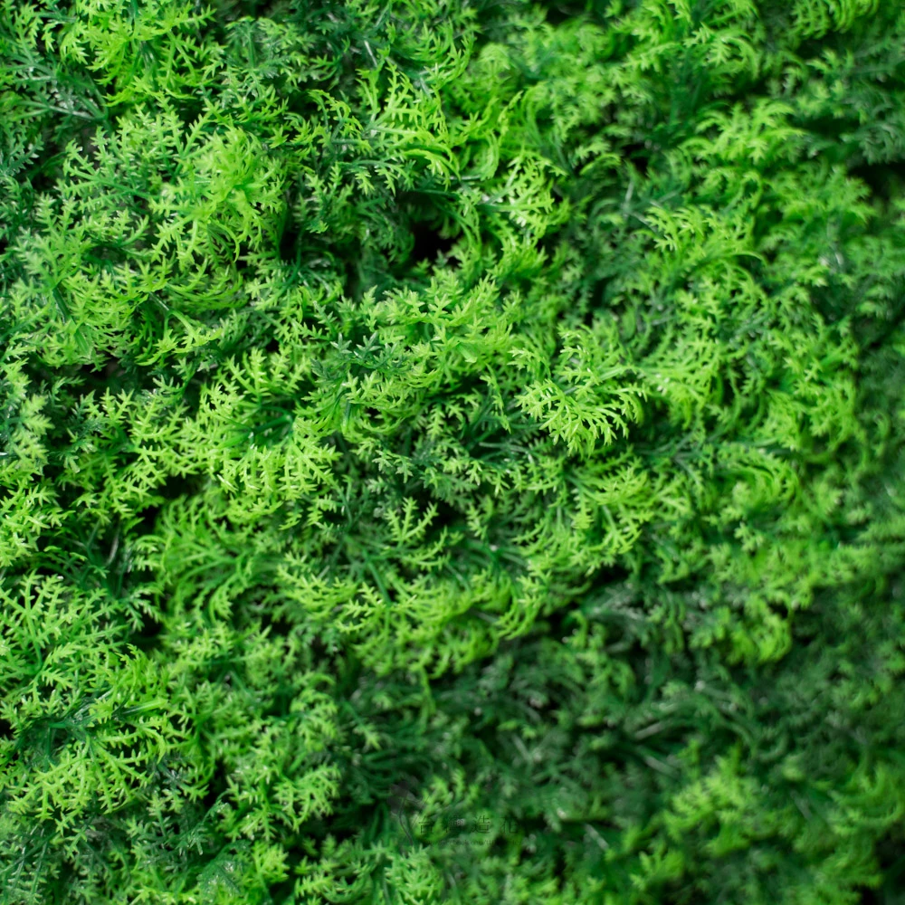 40*60金魚藻草皮(綠)