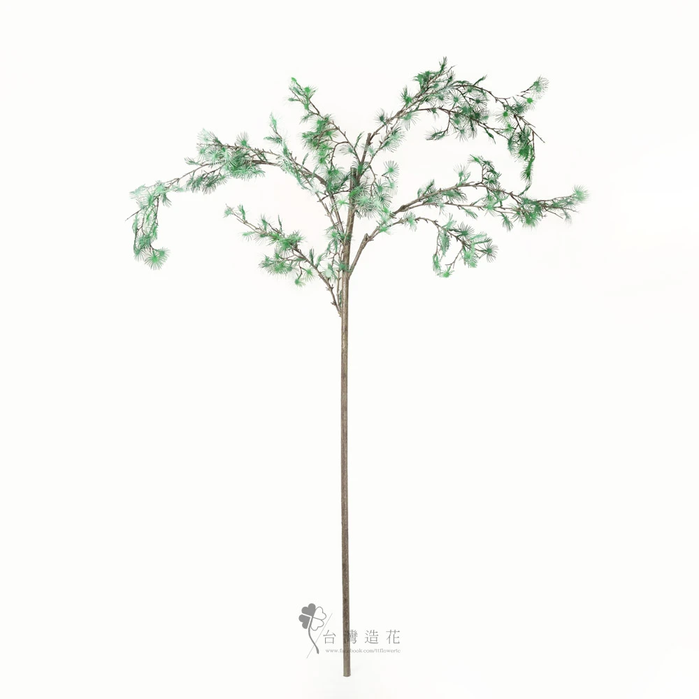 74"塔瑪拉克松(綠)