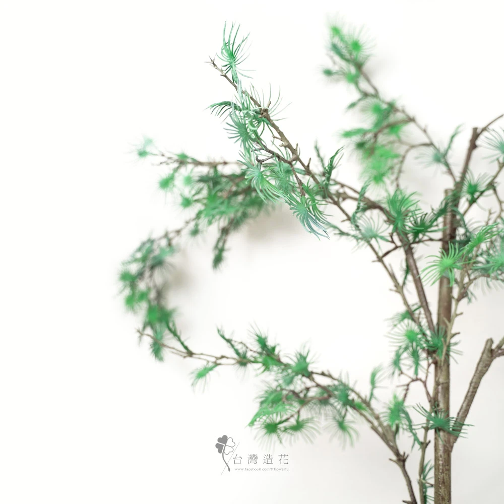 74"塔瑪拉克松(綠)